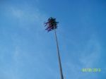 thumb_maj_domov2013_03