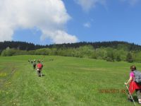 thumb IMG 3544