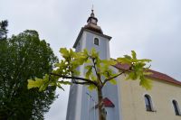 thumb strom pokoja 001