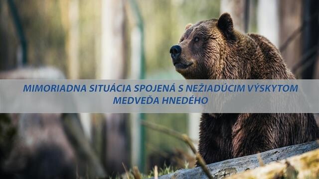 Medved mimoriadna situácia