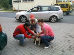 thumb_ockovanie_psov2013_01