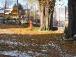 thumb_hrabanie_listia_2012_03
