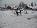 thumb_zazimovanie_parku_2012_03