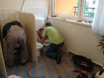 thumb_wc_ms_2012_01