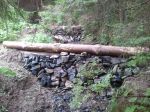 thumb_protipovod_0039