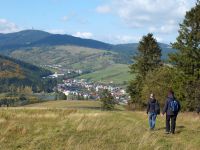thumb Orava 027