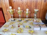 thumb_novorocny_volejbal2013_01