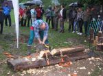 thumb_drevorubac2011_11