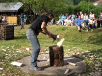 thumb vysocky drevorubac2016 21