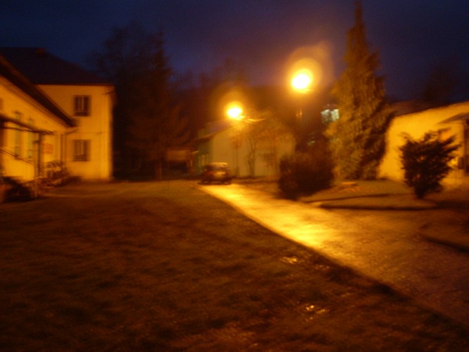 Sample Image
