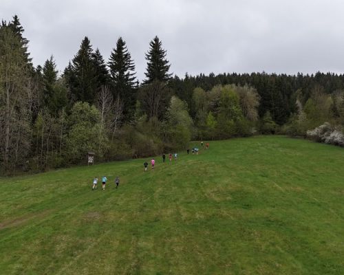 DJI_20250425180950_0024_D