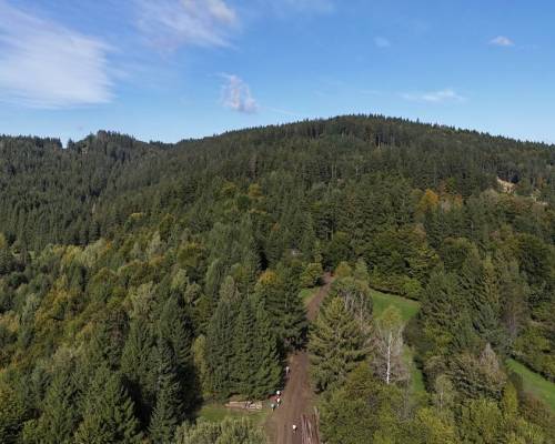 DJI_20250928100416_0312_D_original