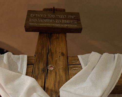 IMG_6772