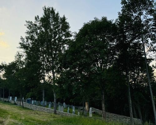 IMG_2097