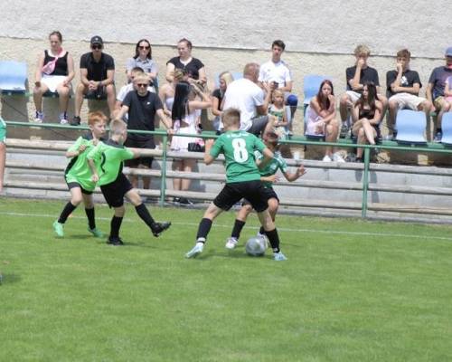 IMG_0351_original
