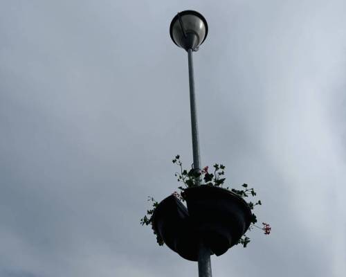 IMG_4537_original