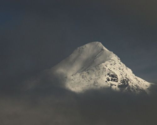 IMG_3904