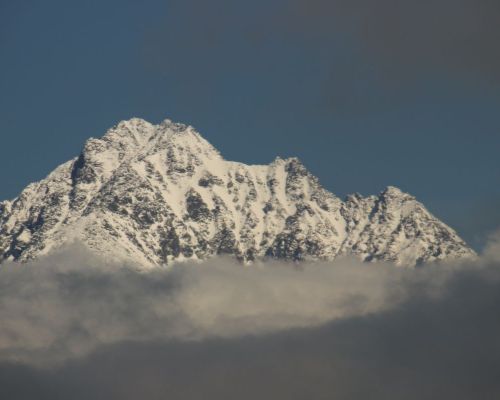 IMG_3948