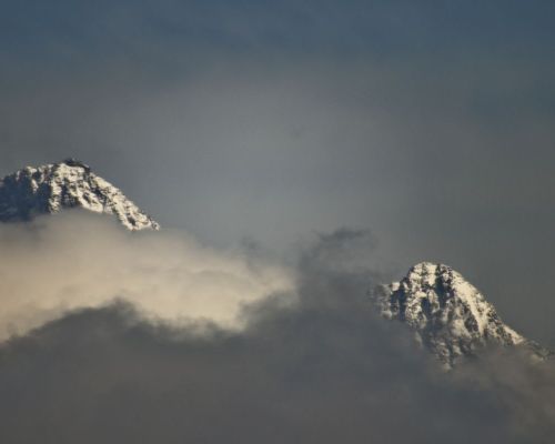 IMG_3961