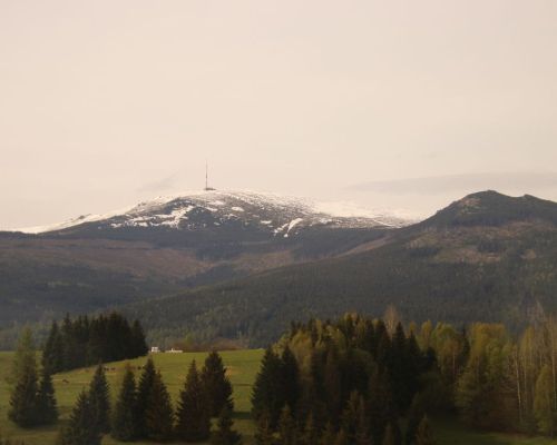 IMG_4320