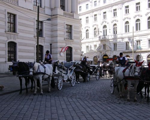 IMG_4868