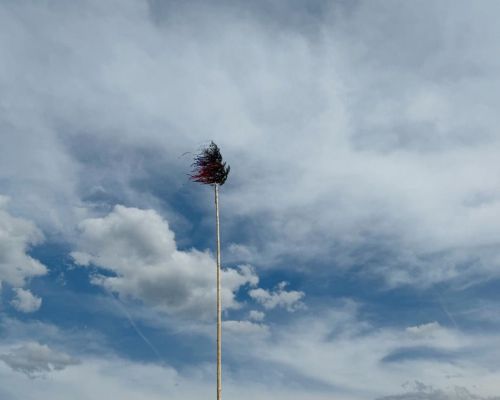 IMG_0981