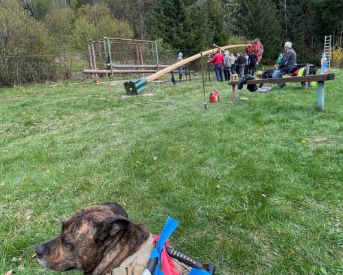 IMG-20260502-WA0014_original