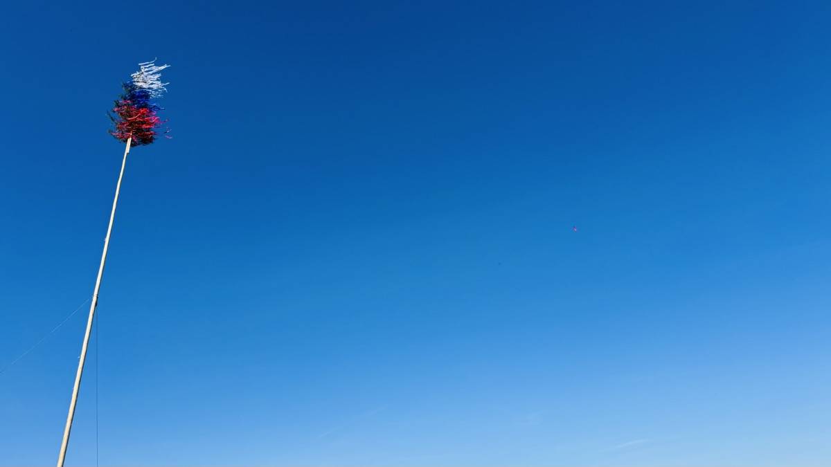 IMG 4503 original