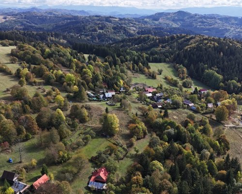 DJI_20261011123309_0692_D