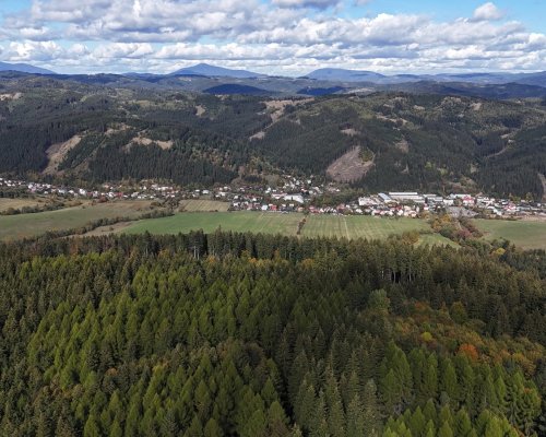 DJI_20261011123355_0694_D