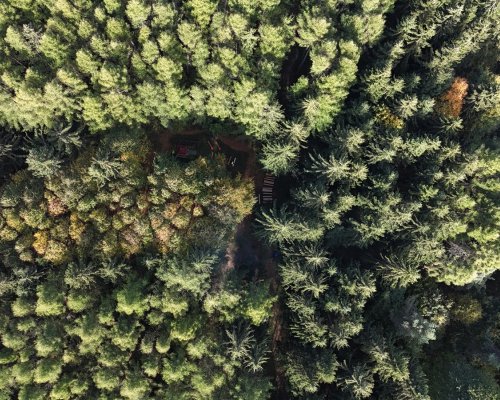 DJI_20261011123443_0696_D