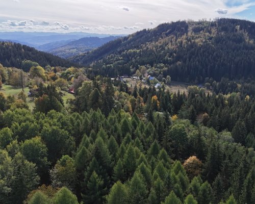 DJI_20261011123509_0697_D