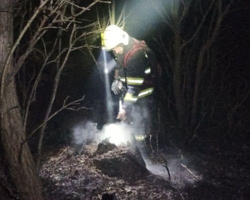 IMG_20250222_182808