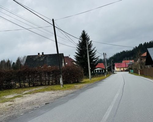 IMG_4631