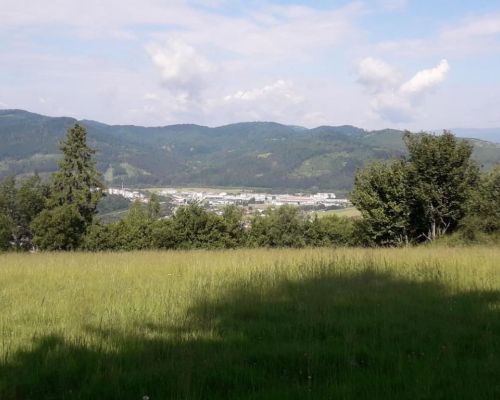 20240606_091941