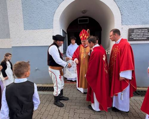 IMG_5354_original