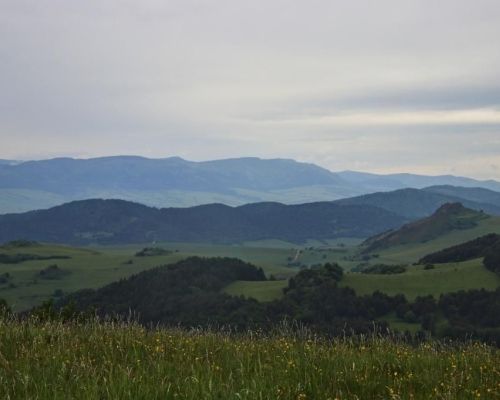 IMG_5575