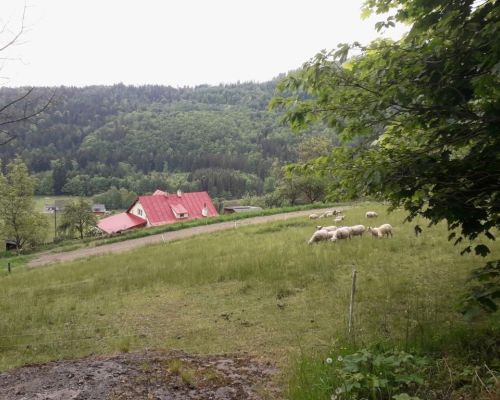 20240511_081729