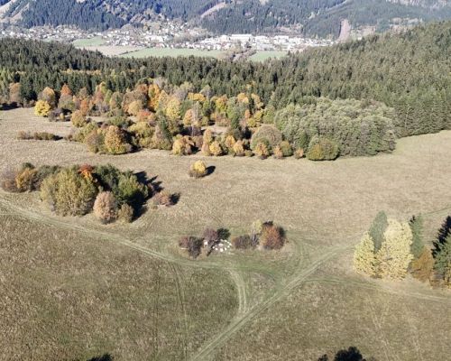 DJI_20241016125455_0055_D