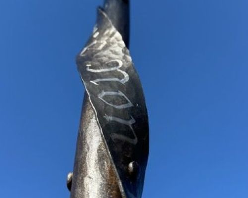 IMG_4252