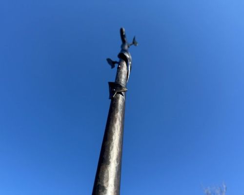 IMG_4253