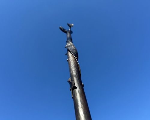IMG_4254