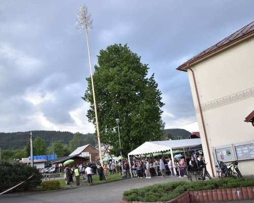 DSC_7851_original