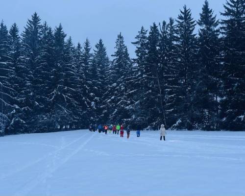 IMG_3454_original