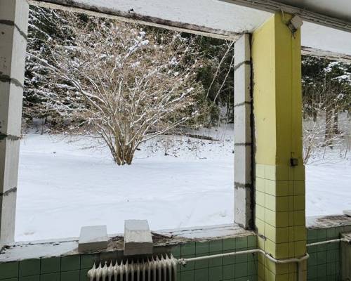 IMG_3362_original